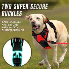 BARKBAY Easy-on, easy-off design makes quick readiness for outdoor adventures.