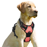 BARKBAY front-clip no-pull harness for controlled walking