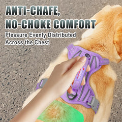 BARKBAY front halt ring supports gentle training while walking