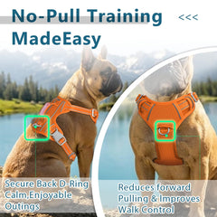 BARKBAY Reflective strips boost visibility during dawn or dusk walks.