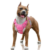 BARKBAY No Pull Harness with front clip in pink large for controlled training