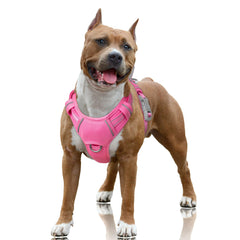 BARKBAY No Pull Harness with front clip in pink large for controlled training