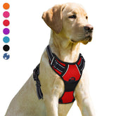 BARKBAY No Pull Harness with front clip provides controlled steering for large dogs.