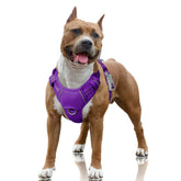 BARKBAY No Pull harness with front clip reducing pulling during walks