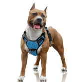 BARKBAY no-pull harness with front clip for better control during walks.