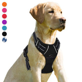BARKBAY No Pull Front-Clip Harness back view highlighting sturdy construction for controlled walks
