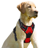 BARKBAY No Pull Front Clip Harness in red provides controlled walks with its front clip design.