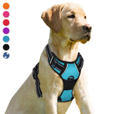 BARKBAY No Pull Front Clip Harness, blue XL, front control for safer walks