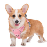 BARKBAY No Pull harness with front clip for controlled, comfortable walks.
