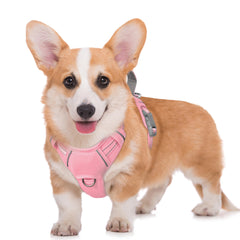 BARKBAY No Pull harness with front clip for controlled, comfortable walks.
