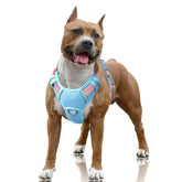 BARKBAY No Pull Harness with front clip for controlled walks and training.