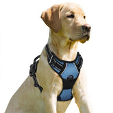 BARKBAY front-clip harness in navy improves control for large dogs.