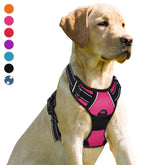 BARKBAY No Pull Harness front clip pink L for controlled walks.