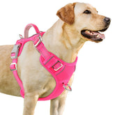 BARKBAY No Pull Harness front clip guides dogs during walks for better control.