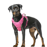 BARKBAY No Pull Harness with front clip improves control during walks.