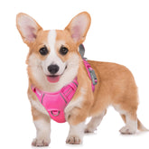 BARKBAY No-Pull Harness with front clip provides controlled walks and training.
