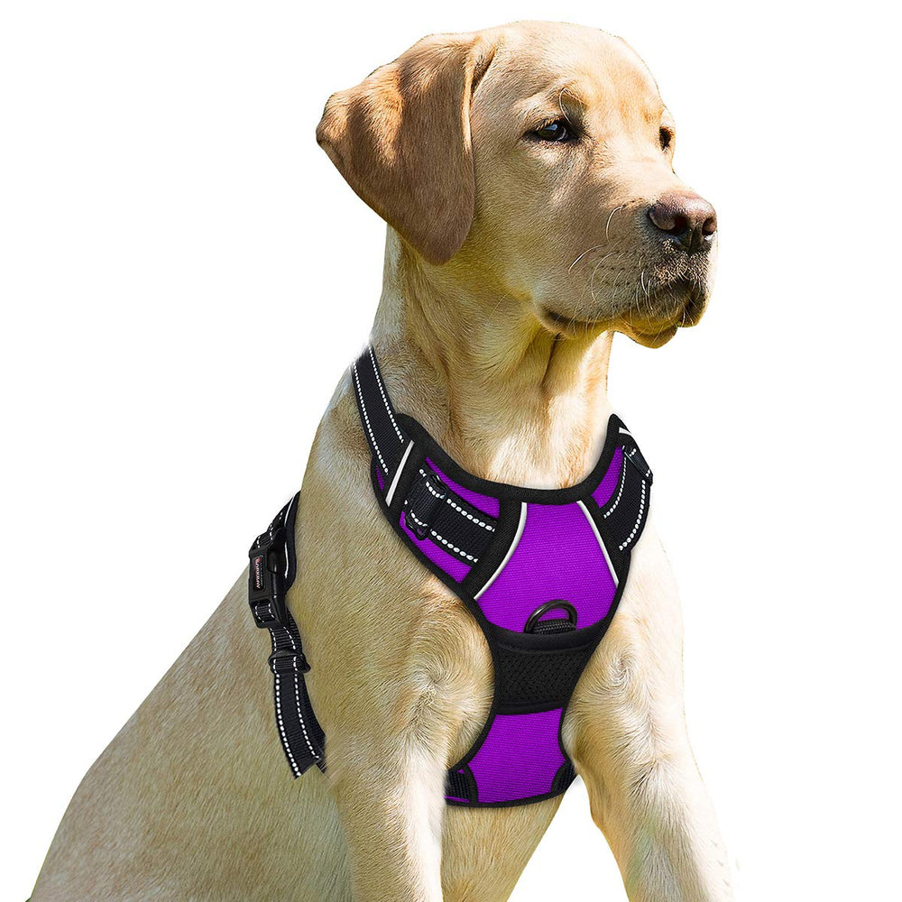 BARKBAY No Pull front clip harness in purple for safer night visibility and control
