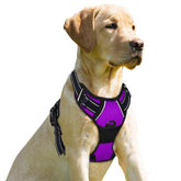 BARKBAY No Pull front clip harness in purple for safer night visibility and control