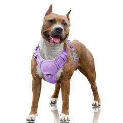 BARKBAY No Pull Harness with front clip in violet for smoother training walks