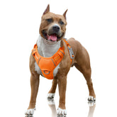 BARKBAY No Pull Harness with front clip guides pulling behavior during training and daily walks.