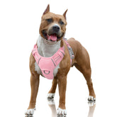 BARKBAY No Pull Harness with front clip for controlled training and walks