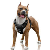 BARKBAY No Pull Harness with front clip for easier training and reduced pulling.