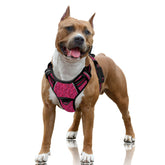 BARKBAY No Pull Harness front clip reduces pulling for smoother walks