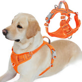 BARKBAY No Pull Harness in orange offers enhanced control for large dogs.
