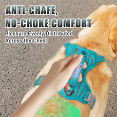 BARKBAY reflective strips boost visibility during early morning or night strolls.