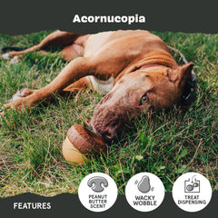 BarkBox Acornucopia peanut scent core adds aroma during play