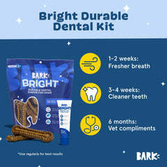 BarkBox Bright dental sticks in a dog's mouth illustrate gum massage action.