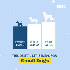Barkbox Bright dog chewing sticks with tasty flavor for daily use.