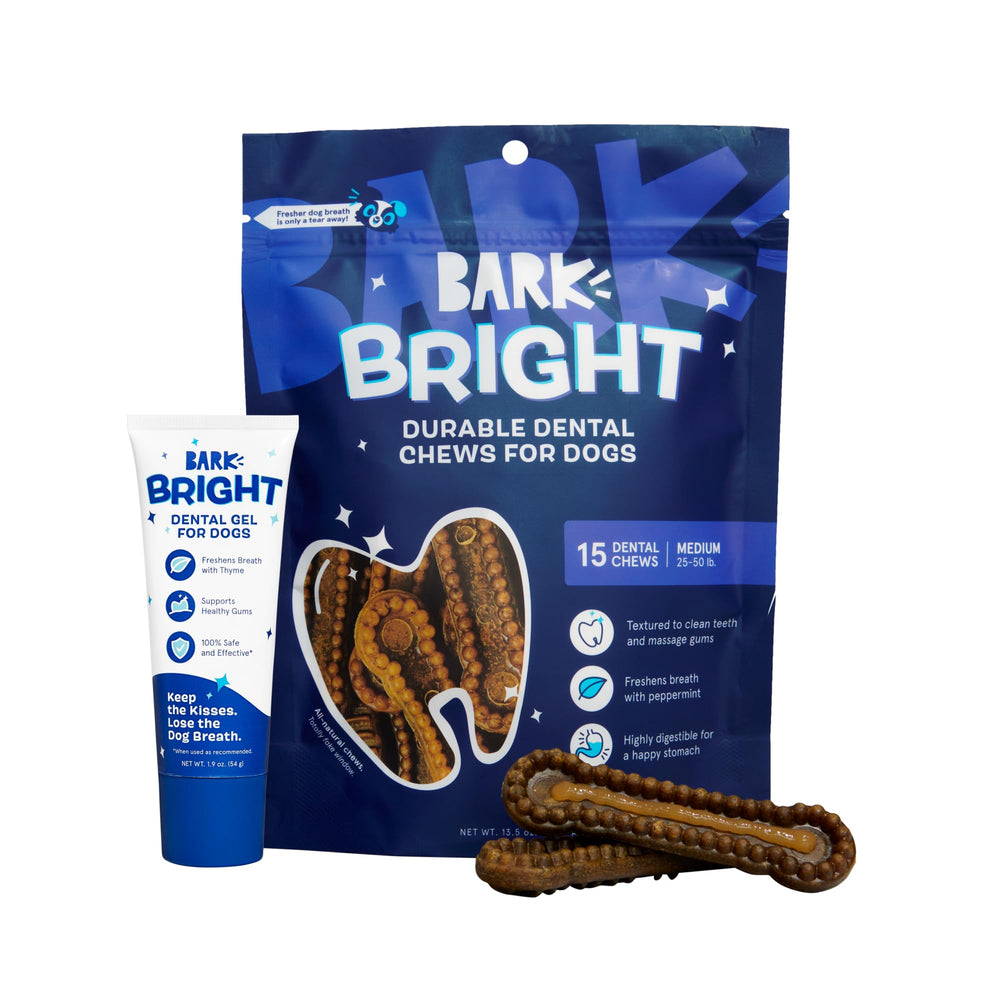 Barkbox Bright packaging for medium dogs with cleaning chews and toothpaste.