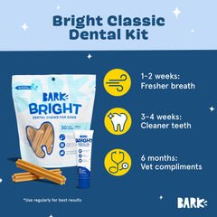 Barkbox Bright small-breed packaging, designed for convenient at-home dental care.