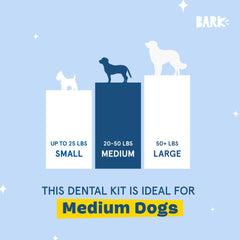 Toothpaste tube from Barkbox Bright kit ready for brushing sessions.