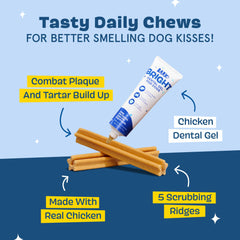 Barkbox Bright toothpaste gel closeup, highlighting easy integration into daily brushing.