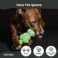 BarkBox Iguana with ridges supports dental-like cleaning during play
