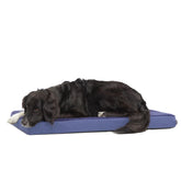 Barkbox Orthopedic Bed memory foam close-up highlighting contouring support for joints.