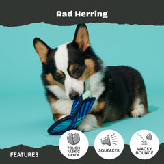 BarkBox Rad Herring textured rubber exterior engages aggressive chewers