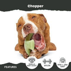 BarkBox Super Chewer design keeps play mess-free without ropes or stuffing.