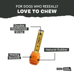 BarkBox Tug Measure nylon strap design ideal for sturdy tugging.
