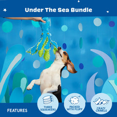 Barkbox Maggie Mahi dolphin plush designed for cuddly fetch sessions.