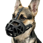 BARKLESS basket muzzle worn on a dog during a calm walk for safe interaction