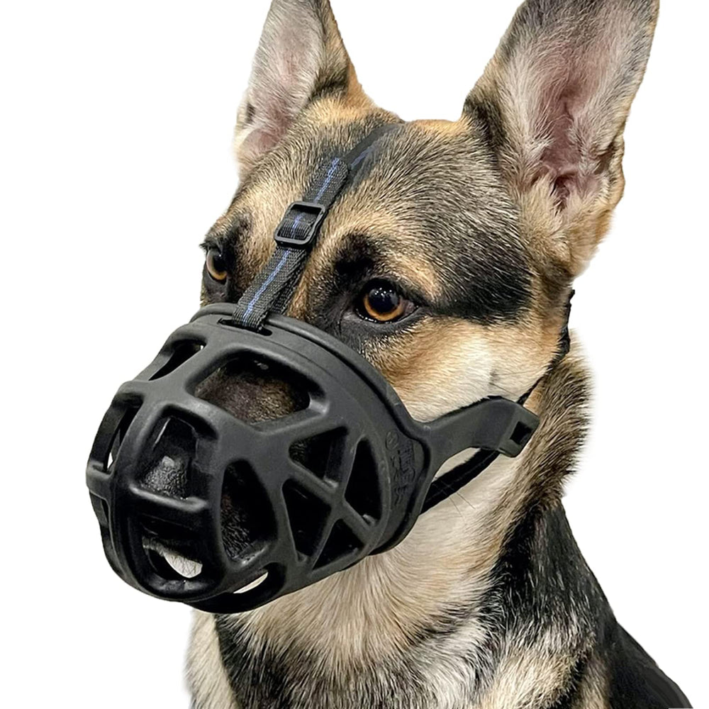 BARKLESS basket muzzle on a large dog, secure fit for daily walks