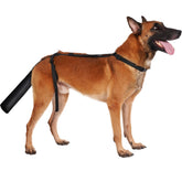 BARKLESS dog tail protector front view showing secure breathable coverage for wounds