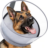 BARKLESS donut collar inflates for gentle post-surgery recovery