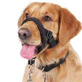BARKLESS head collar close-up showing soft nose padding for comfort.