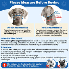 BARKLESS Head Collar reflective strips boost night visibility for safer walks.
