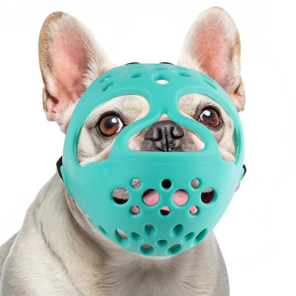 BARKLESS muzzle on a short-snouted dog for safe control during walks.