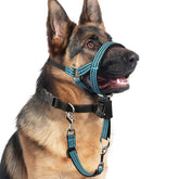 BARKLESS No-Pull Head Collar blue side view improves gentle walking control.